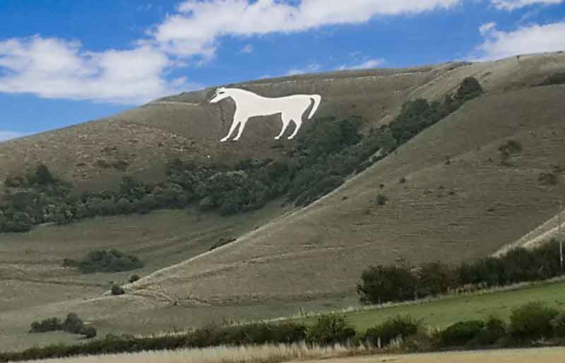 Cherhill White Horse Chalk effigy in the hillside.
